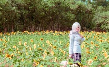 塔塔_Lo1iTa护士系列:再无任何圣光,尽是真实